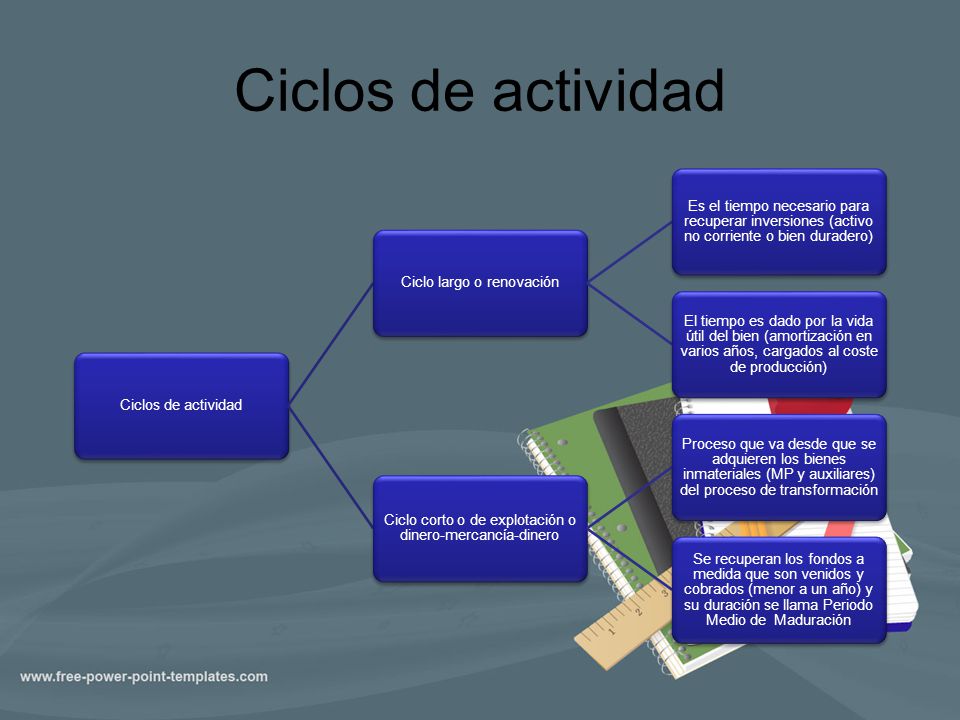 Ciclos de actividad Ciclos de actividad Ciclo largo o renovación