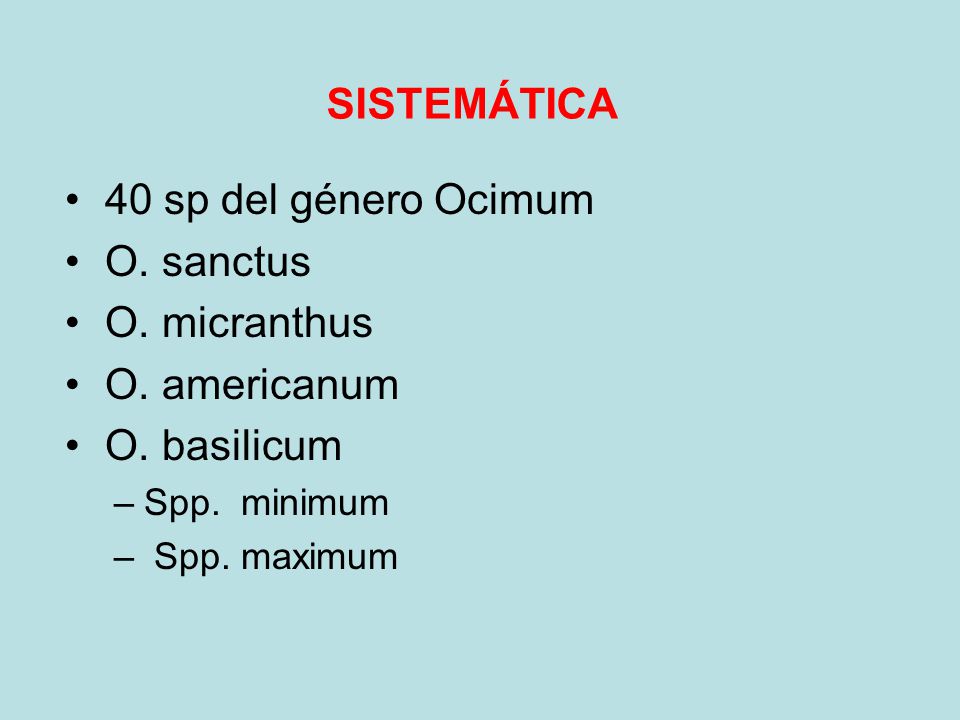 SISTEMÁTICA 40 sp del género Ocimum O. sanctus O. micranthus