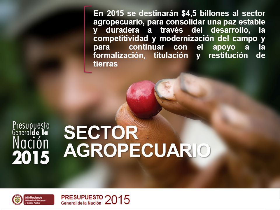 En 2015 se destinarán $4,5 billones al sector agropecuario, para consolidar una paz estable y duradera a través del desarrollo, la competitividad y modernización del campo y para continuar con el apoyo a la formalización, titulación y restitución de tierras