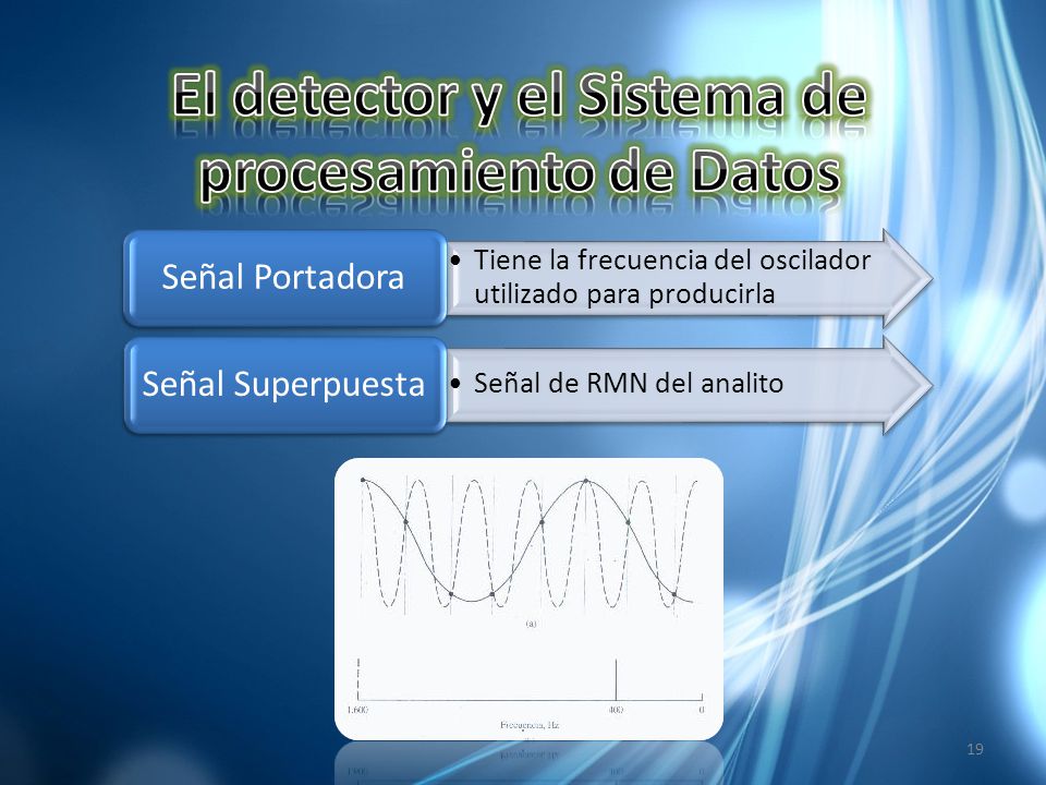 El detector y el Sistema de procesamiento de Datos