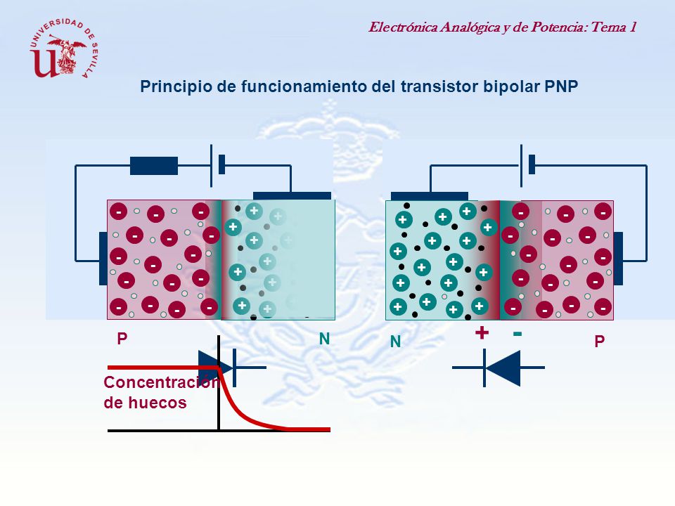 + - Principio de funcionamiento del transistor bipolar PNP P N N P