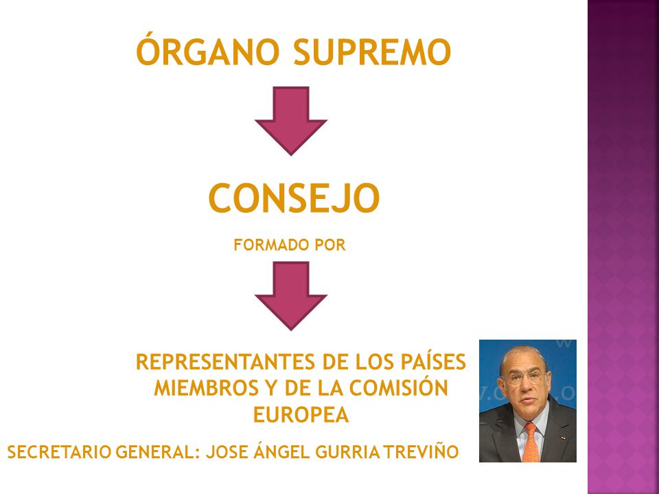 REPRESENTANTES DE LOS PAÍSES MIEMBROS Y DE LA COMISIÓN EUROPEA