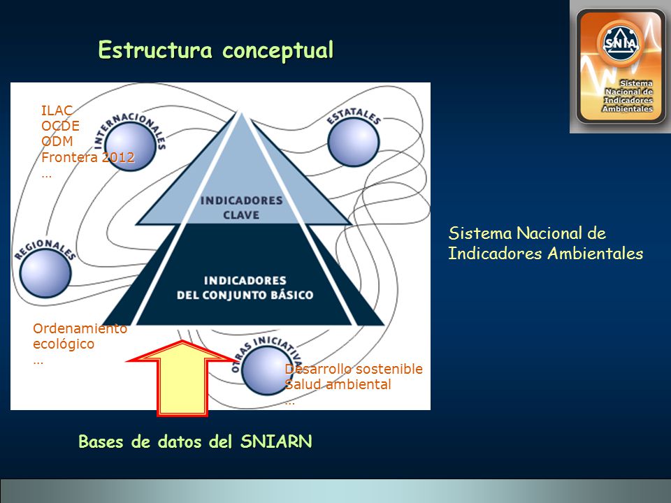 Estructura conceptual