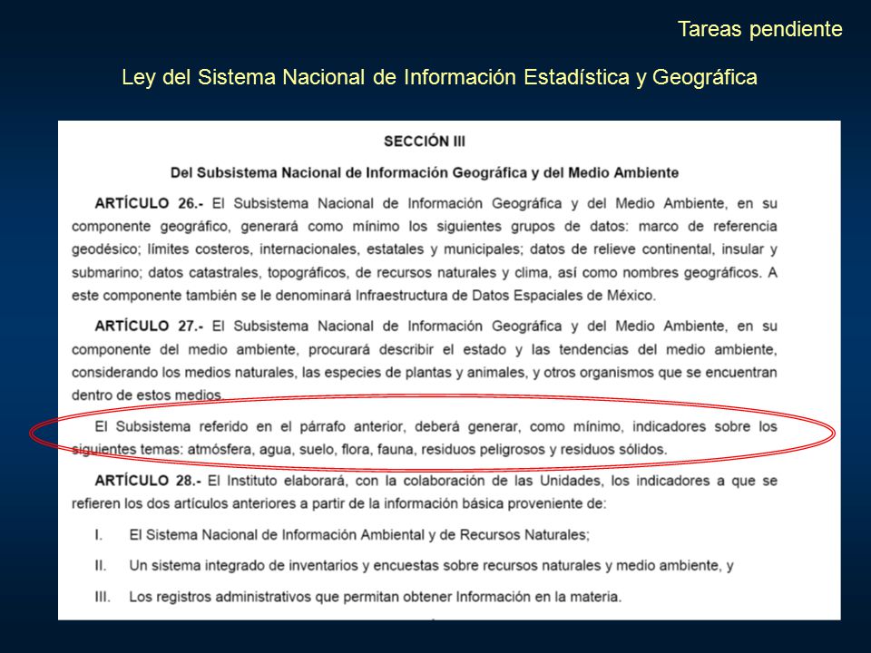 Tareas pendiente Ley del Sistema Nacional de Información Estadística y Geográfica