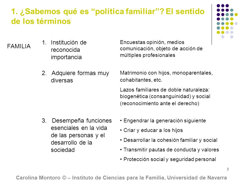 1. ¿Sabemos qué es política familiar El sentido de los términos