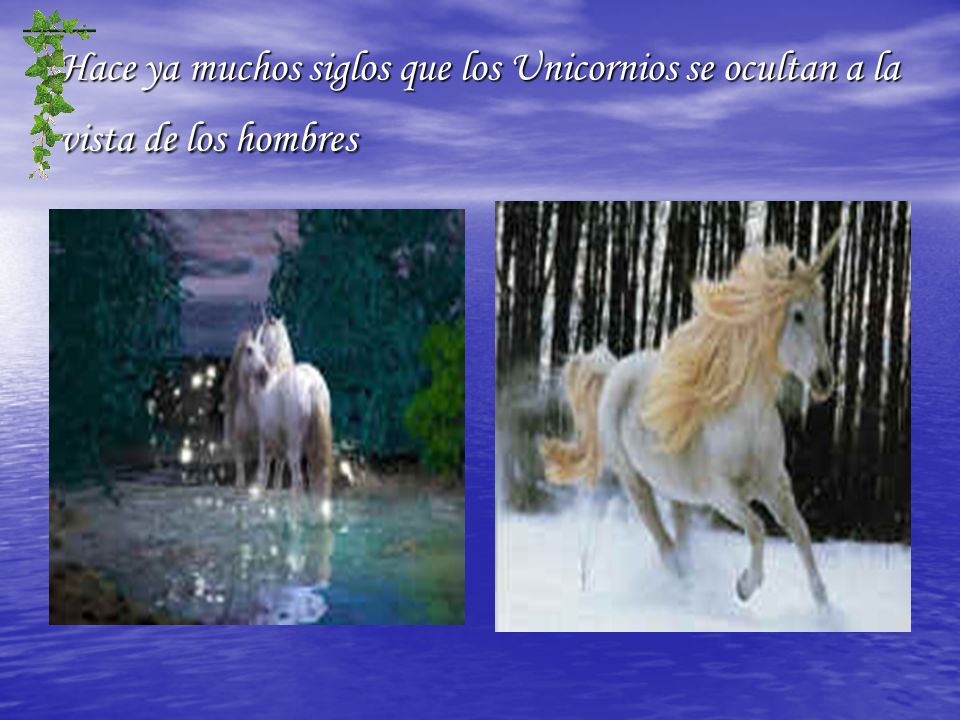 Hace ya muchos siglos que los Unicornios se ocultan a la vista de los hombres