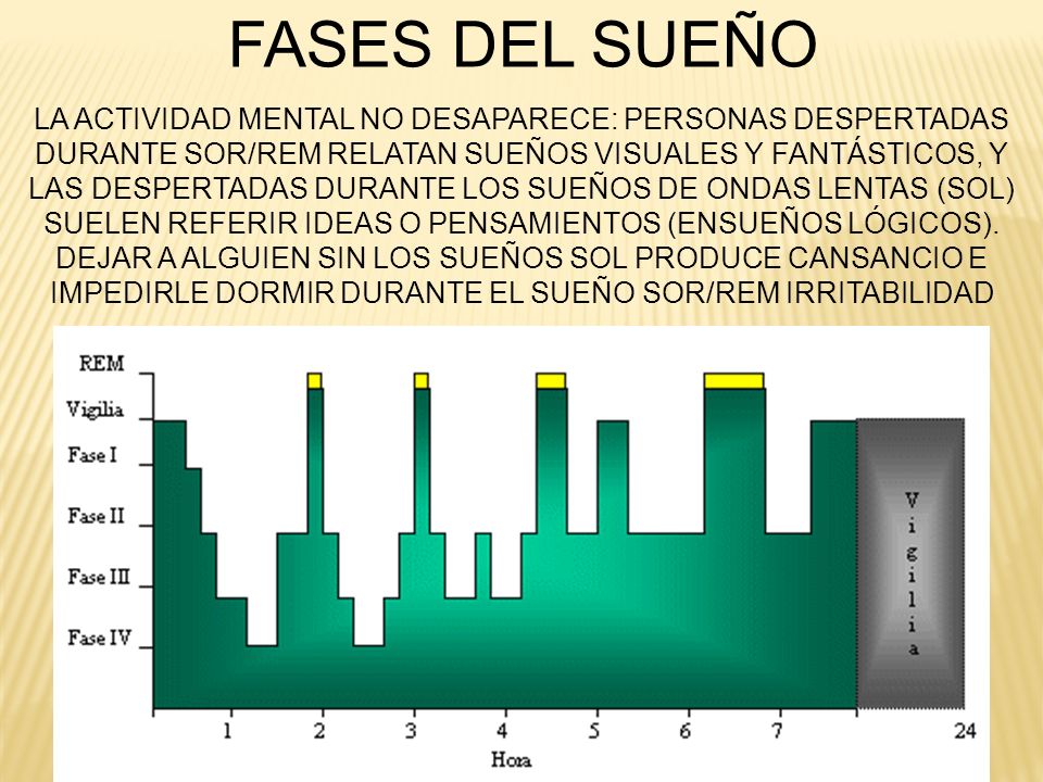 FASES DEL SUEÑO LA ACTIVIDAD MENTAL NO DESAPARECE: PERSONAS DESPERTADAS. DURANTE SOR/REM RELATAN SUEÑOS VISUALES Y FANTÁSTICOS, Y.