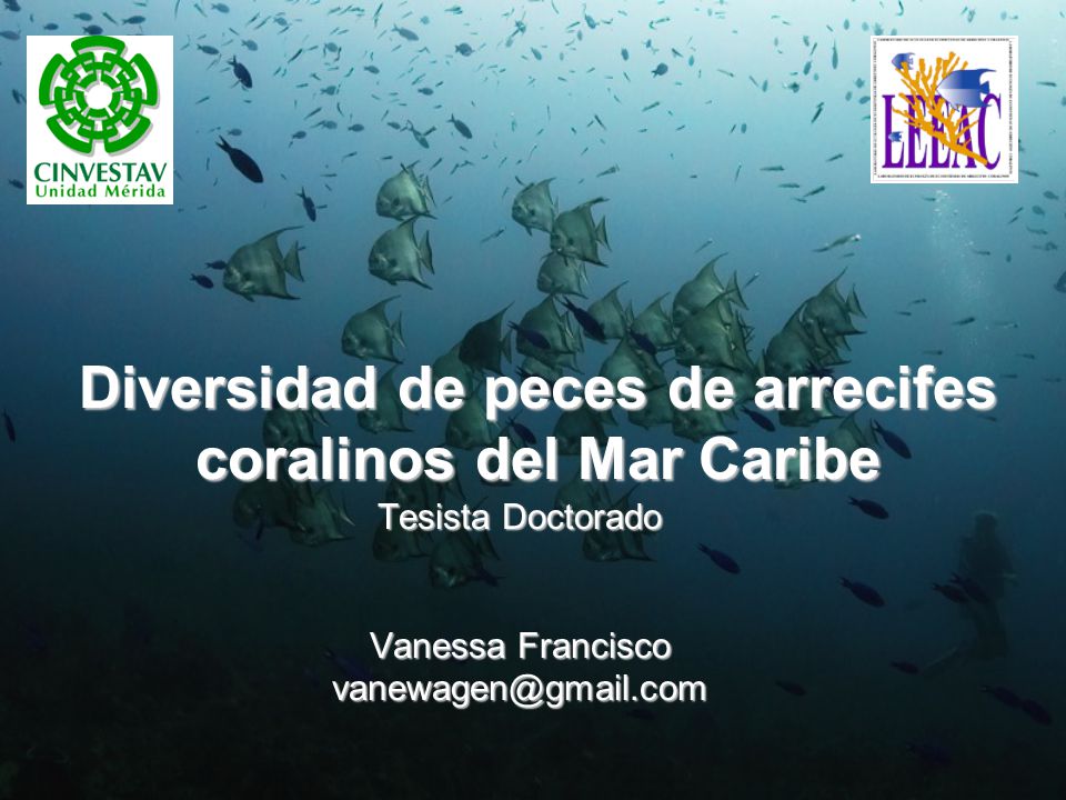 Diversidad de peces de arrecifes coralinos del Mar Caribe