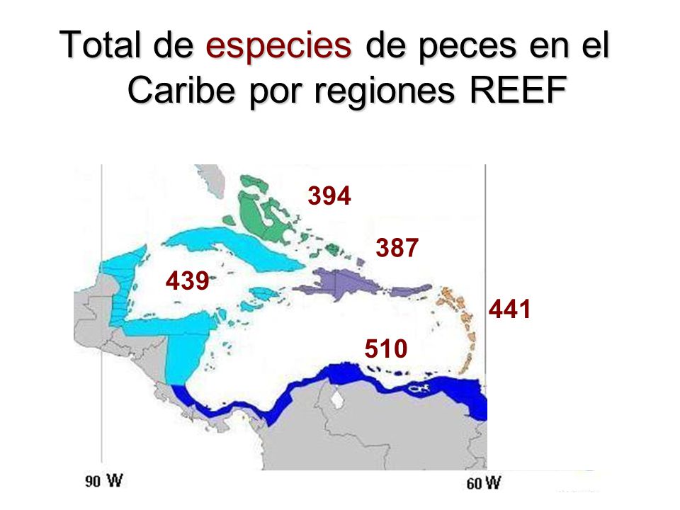 Total de especies de peces en el Caribe por regiones REEF