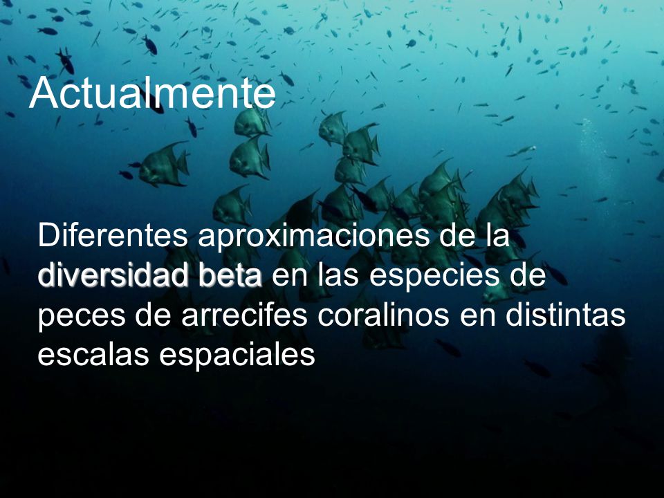Actualmente Diferentes aproximaciones de la diversidad beta en las especies de peces de arrecifes coralinos en distintas escalas espaciales.