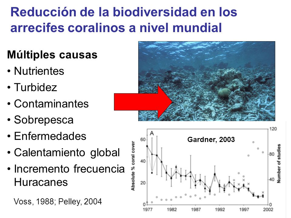 Reducción de la biodiversidad en los arrecifes coralinos a nivel mundial