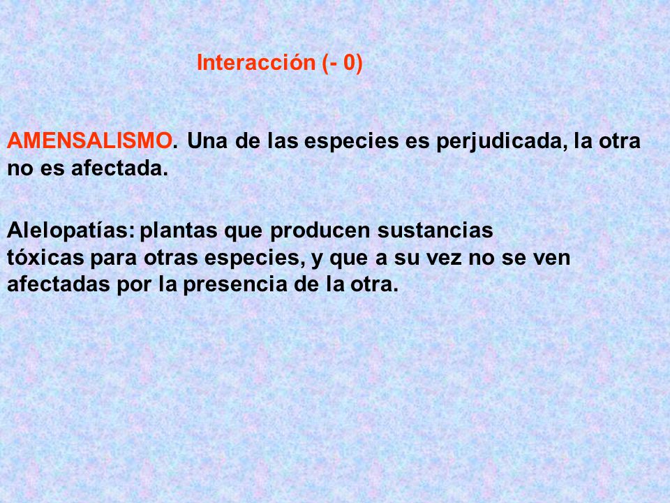 Interacción (- 0) AMENSALISMO. Una de las especies es perjudicada, la otra no es afectada.