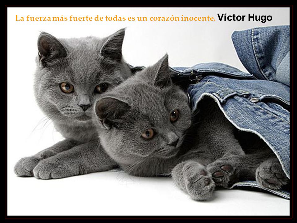 La fuerza más fuerte de todas es un corazón inocente. Víctor Hugo
