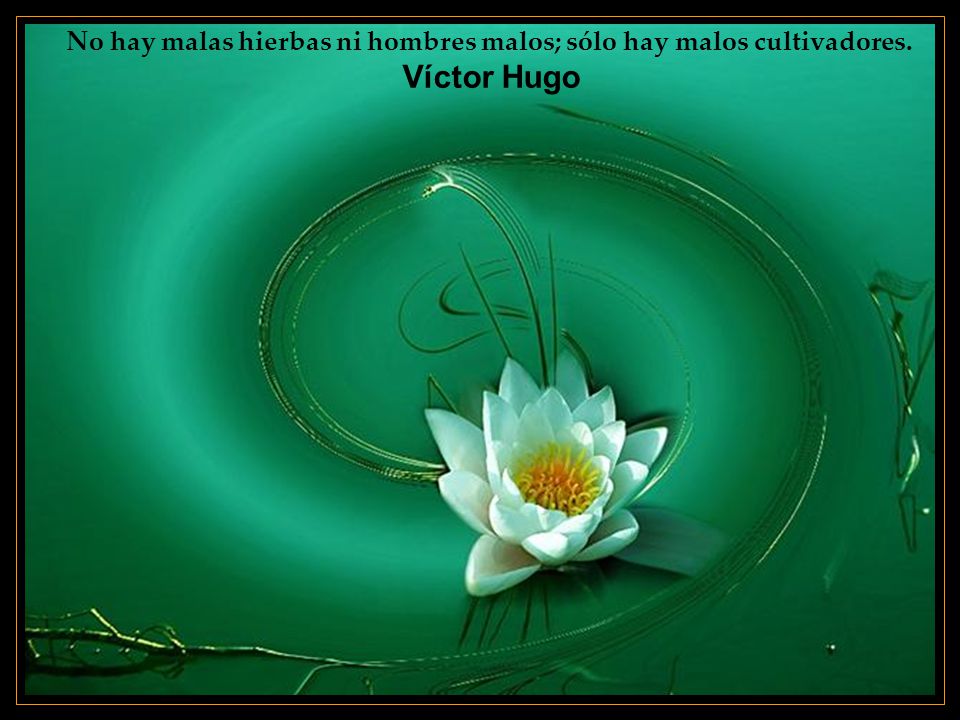 No hay malas hierbas ni hombres malos; sólo hay malos cultivadores.