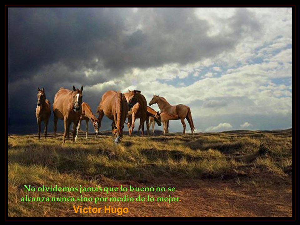 Víctor Hugo No olvidemos jamás que lo bueno no se