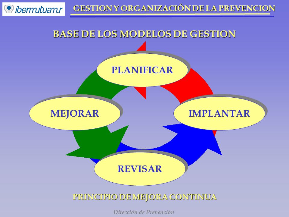 BASE DE LOS MODELOS DE GESTION PRINCIPIO DE MEJORA CONTINUA