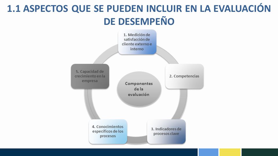 1.1 ASPECTOS QUE SE PUEDEN INCLUIR EN LA EVALUACIÓN DE DESEMPEÑO