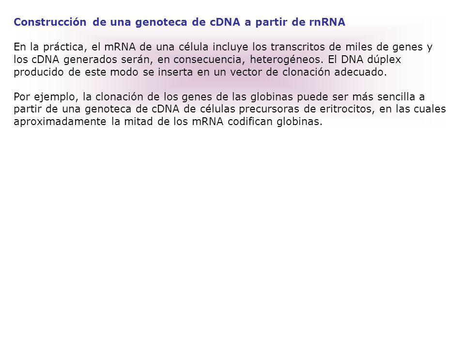 Construcción de una genoteca de cDNA a partir de rnRNA