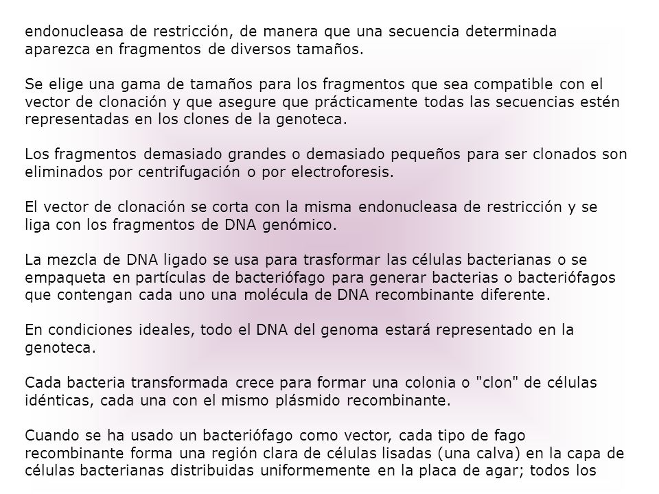 endonucleasa de restricción, de manera que una secuencia determinada aparezca en fragmentos de diversos tamaños.