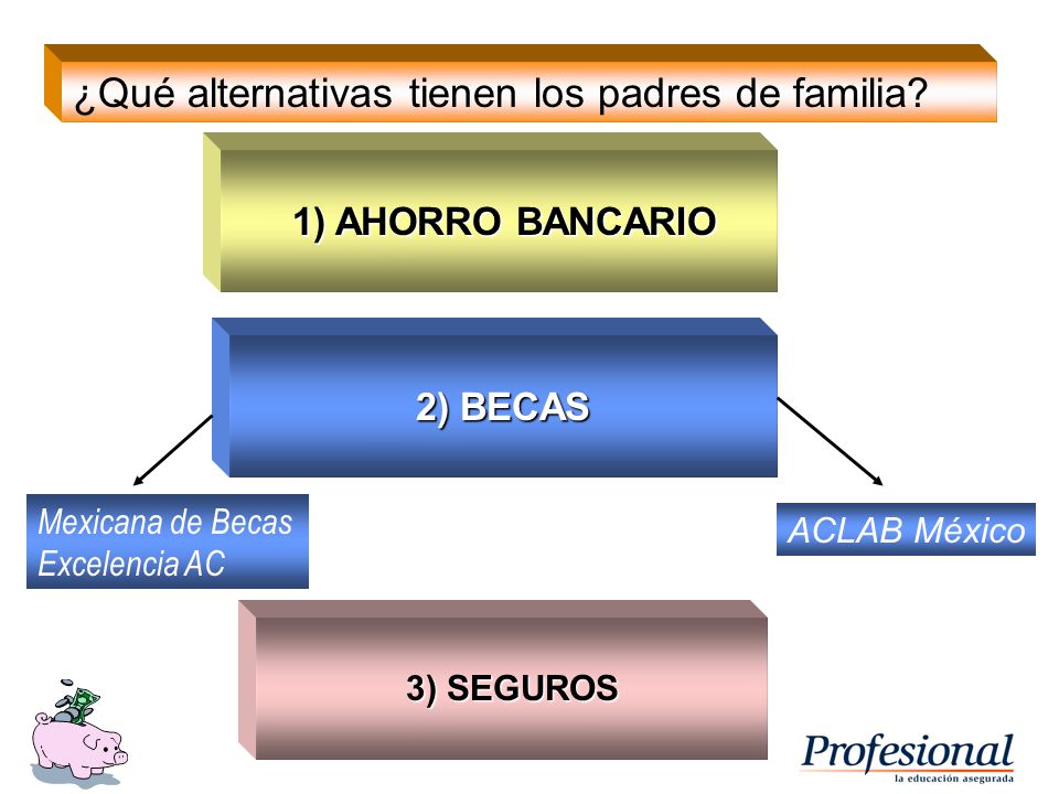 ¿Qué alternativas tienen los padres de familia