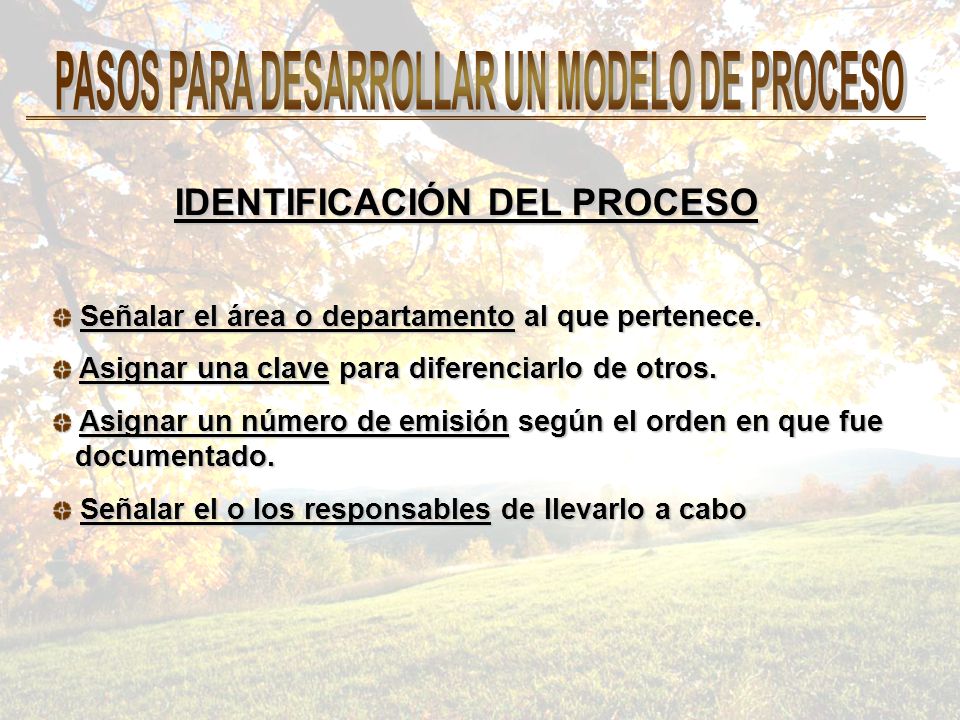 PASOS PARA DESARROLLAR UN MODELO DE PROCESO IDENTIFICACIÓN DEL PROCESO