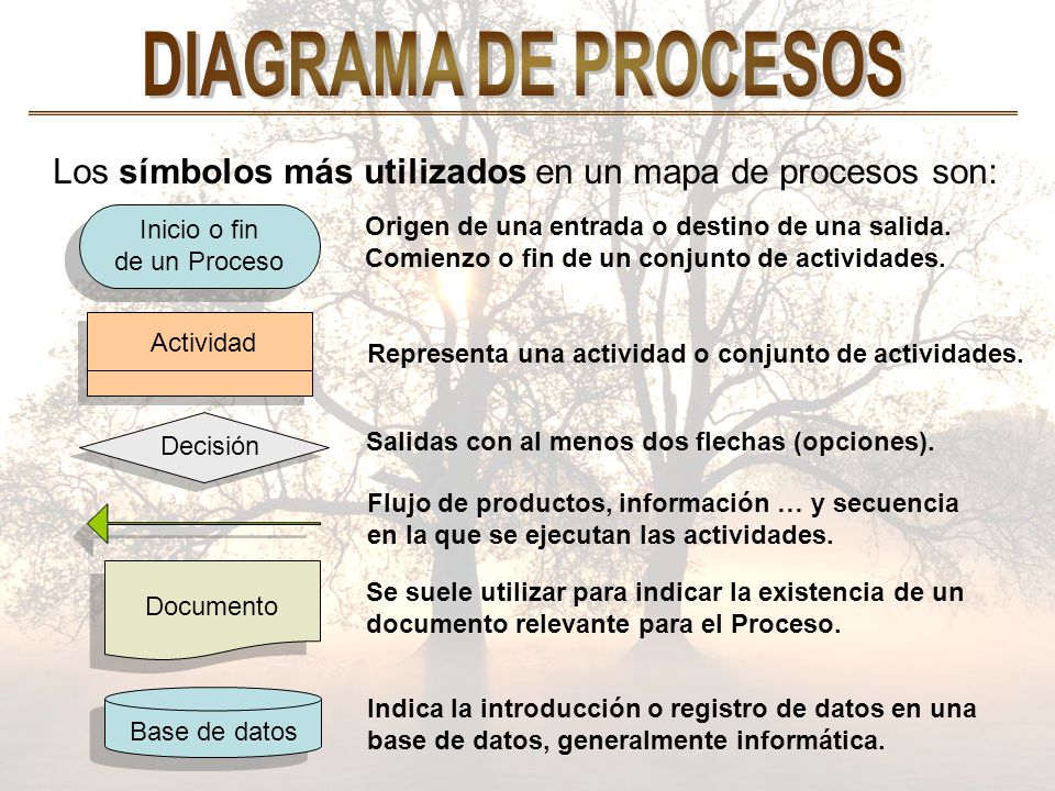 DIAGRAMA DE PROCESOS Los símbolos más utilizados en un mapa de procesos son: Inicio o fin de un Proceso.