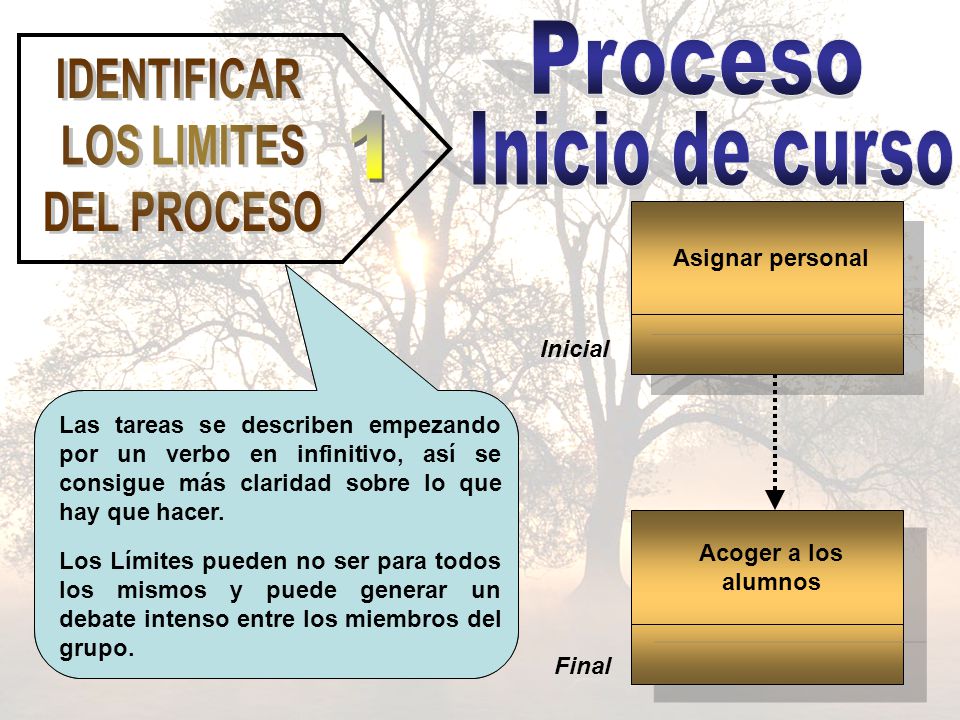 Proceso 1 Inicio de curso IDENTIFICAR LOS LIMITES DEL PROCESO