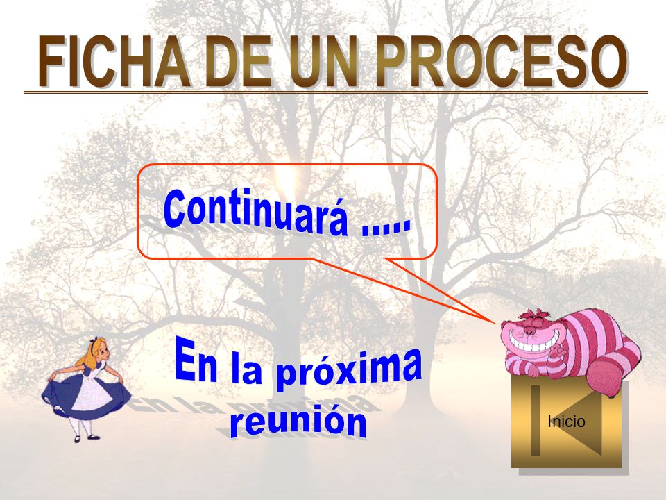 FICHA DE UN PROCESO Continuará En la próxima reunión Inicio
