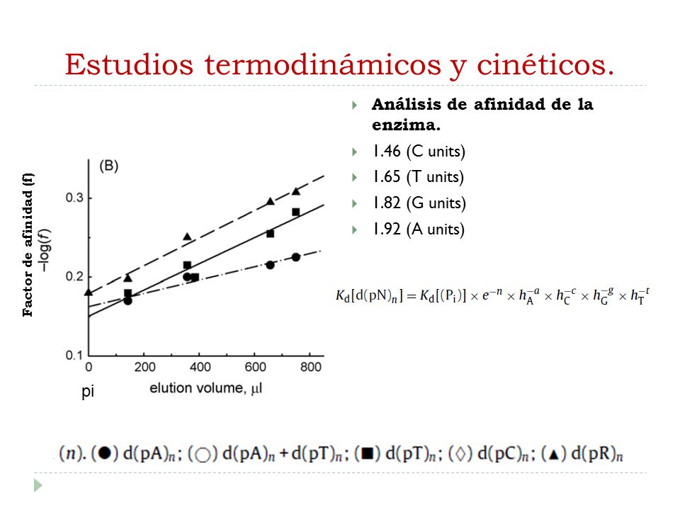 Estudios termodinámicos y cinéticos.