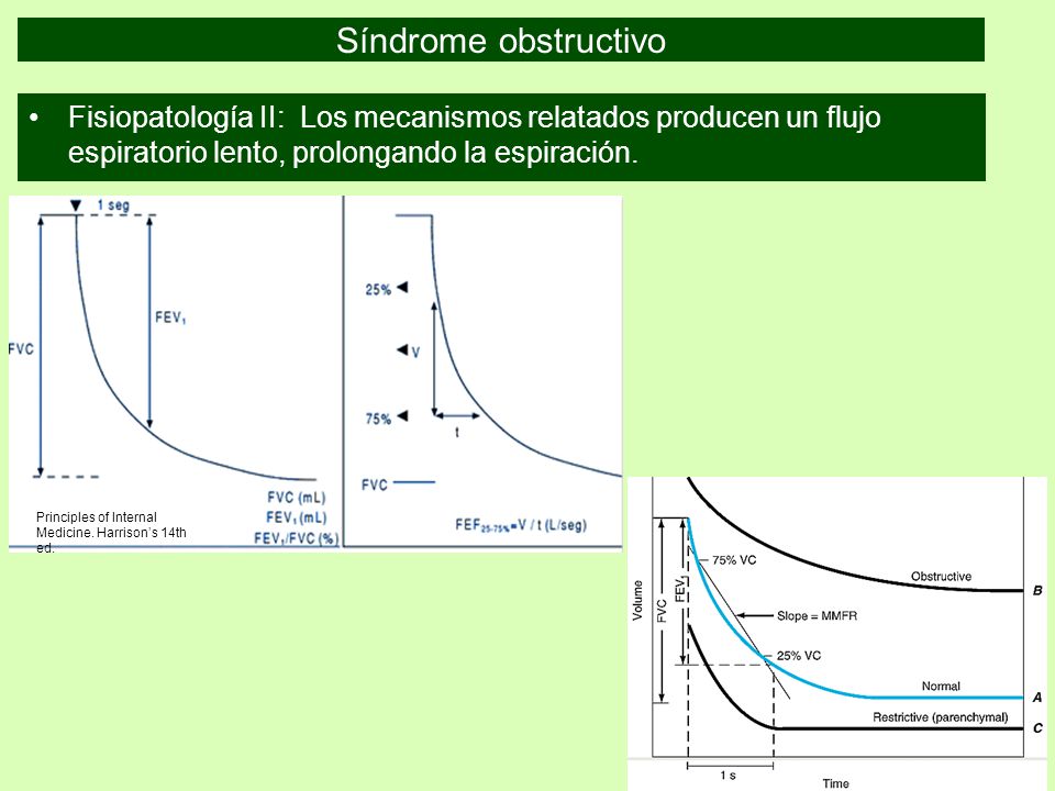 Síndrome obstructivo Fisiopatología II: Los mecanismos relatados producen un flujo espiratorio lento, prolongando la espiración.