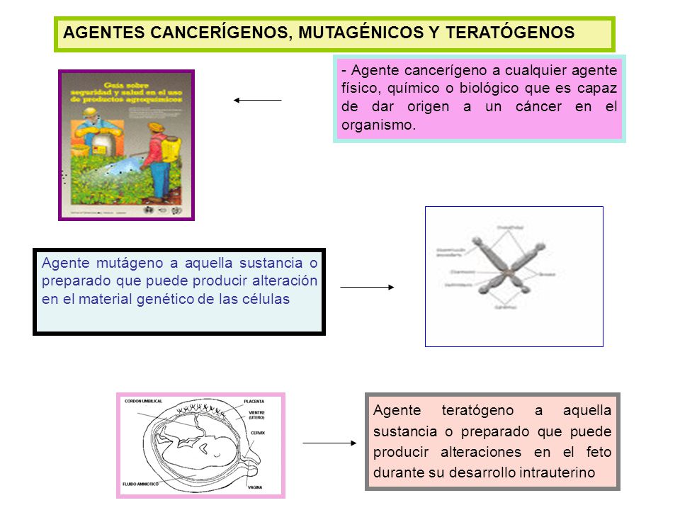 AGENTES CANCERÍGENOS, MUTAGÉNICOS Y TERATÓGENOS
