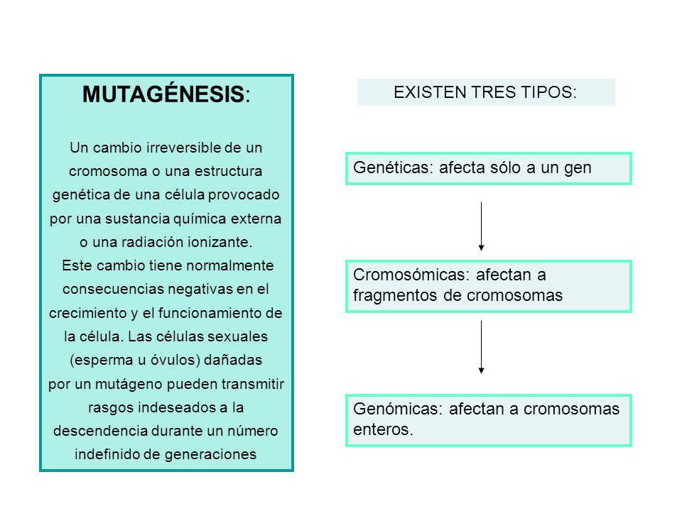 MUTAGÉNESIS: EXISTEN TRES TIPOS: Genéticas: afecta sólo a un gen