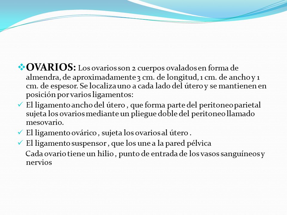 OVARIOS: Los ovarios son 2 cuerpos ovalados en forma de almendra, de aproximadamente 3 cm. de longitud, 1 cm. de ancho y 1 cm. de espesor. Se localiza uno a cada lado del útero y se mantienen en posición por varios ligamentos: