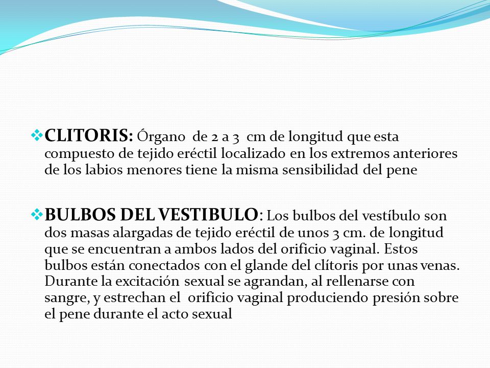 CLITORIS: Órgano de 2 a 3 cm de longitud que esta compuesto de tejido eréctil localizado en los extremos anteriores de los labios menores tiene la misma sensibilidad del pene
