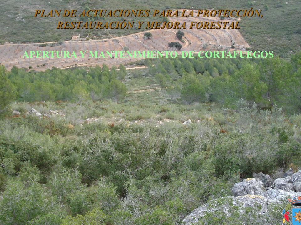 PLAN DE ACTUACIONES PARA LA PROTECCIÓN, RESTAURACIÓN Y MEJORA FORESTAL