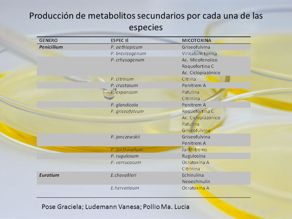 Producción de metabolitos secundarios por cada una de las especies