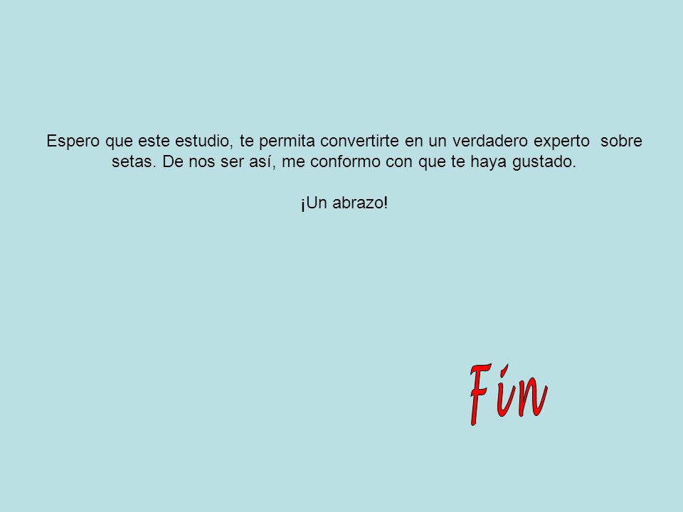 Espero que este estudio, te permita convertirte en un verdadero experto sobre setas. De nos ser así, me conformo con que te haya gustado.
