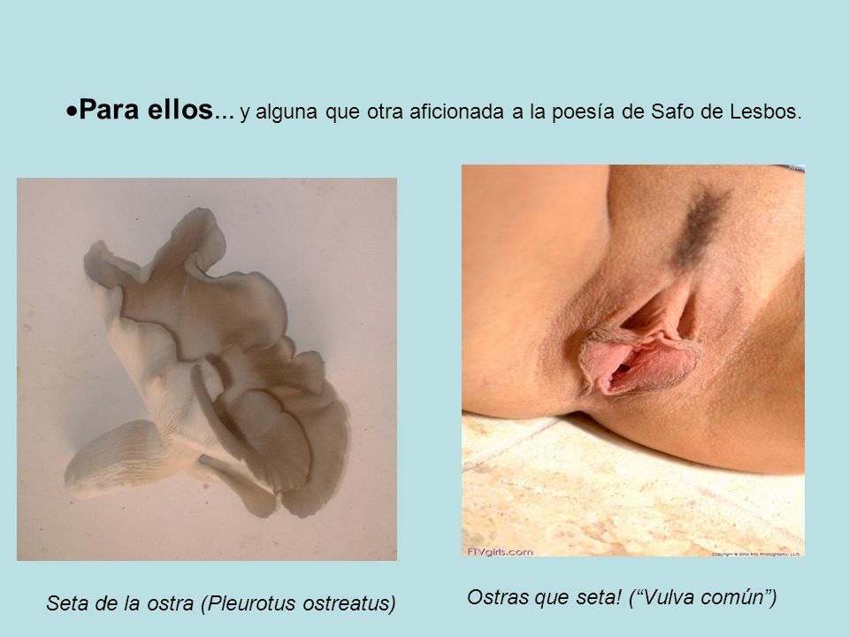 Para ellos… y alguna que otra aficionada a la poesía de Safo de Lesbos.