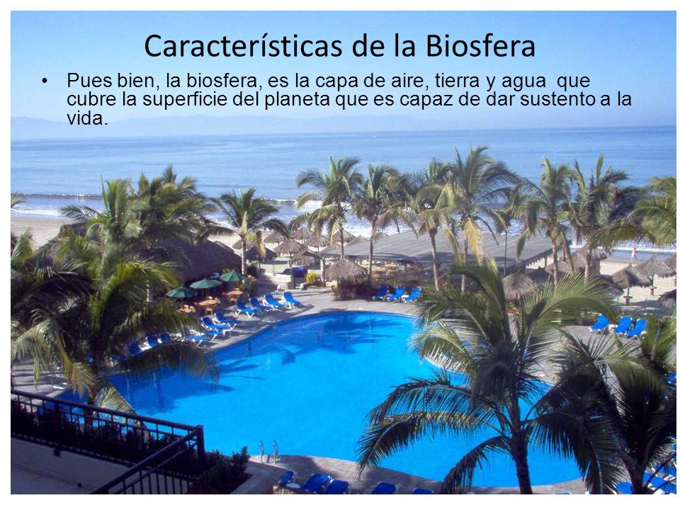 Características de la Biosfera - ppt descargar