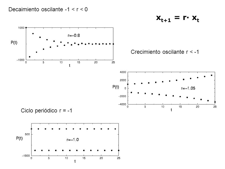 xt+1 = r· xt Decaimiento oscilante -1 < r < 0