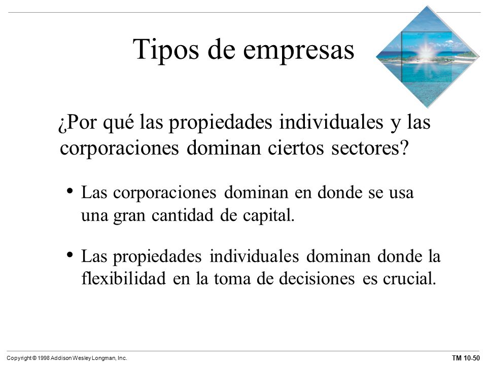 Tipos de empresas ¿Por qué las propiedades individuales y las corporaciones dominan ciertos sectores