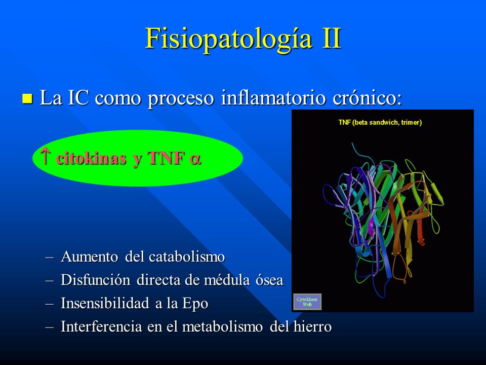 Fisiopatología II La IC como proceso inflamatorio crónico: