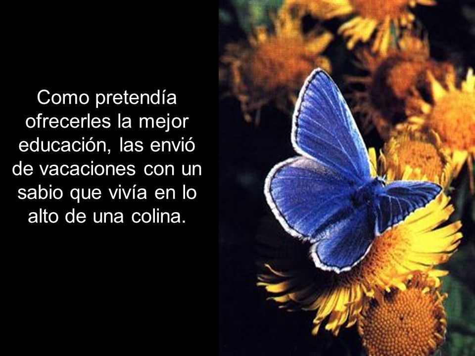 Ria Slides Como pretendía ofrecerles la mejor educación, las envió de vacaciones con un sabio que vivía en lo alto de una colina.