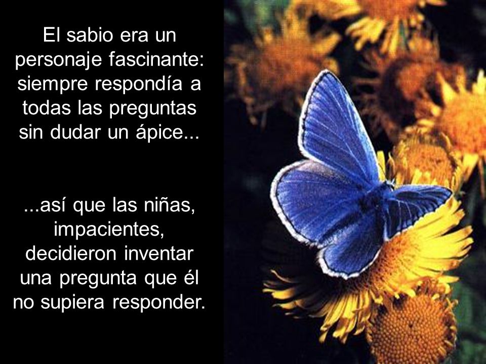 Ria Slides El sabio era un personaje fascinante: siempre respondía a todas las preguntas sin dudar un ápice...