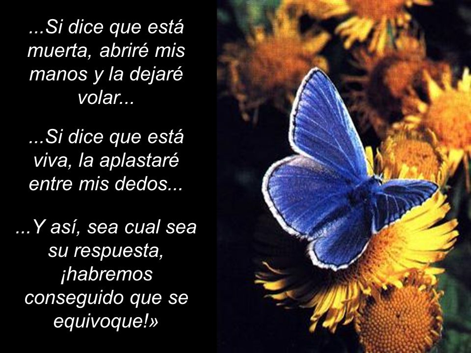...Si dice que está muerta, abriré mis manos y la dejaré volar...