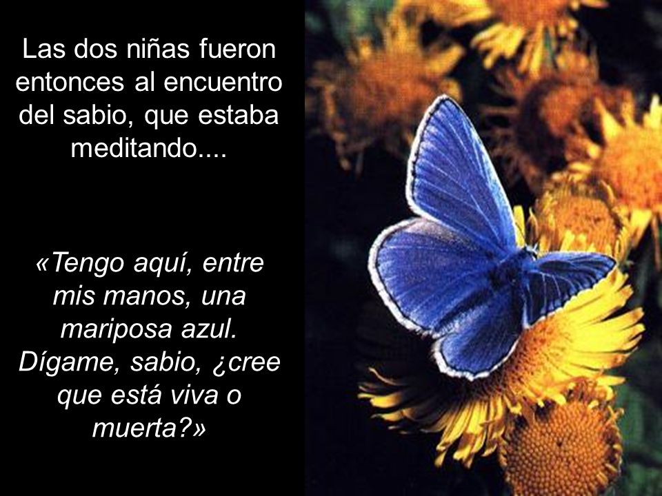 Ria Slides Las dos niñas fueron entonces al encuentro del sabio, que estaba meditando....
