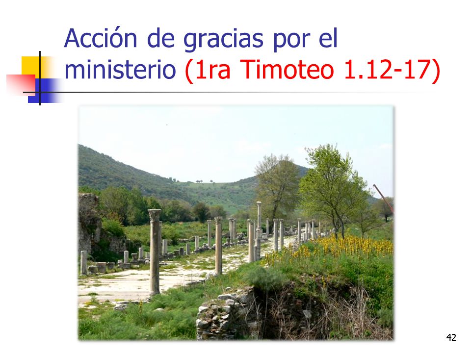 Acción de gracias por el ministerio (1ra Timoteo )