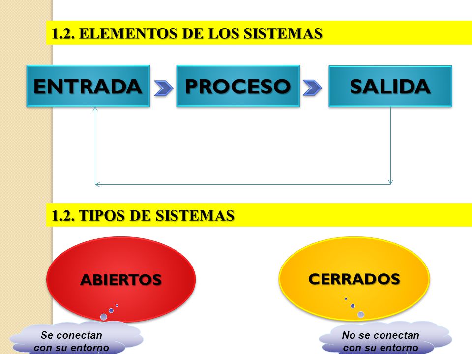 Se conectan con su entorno No se conectan con su entorno