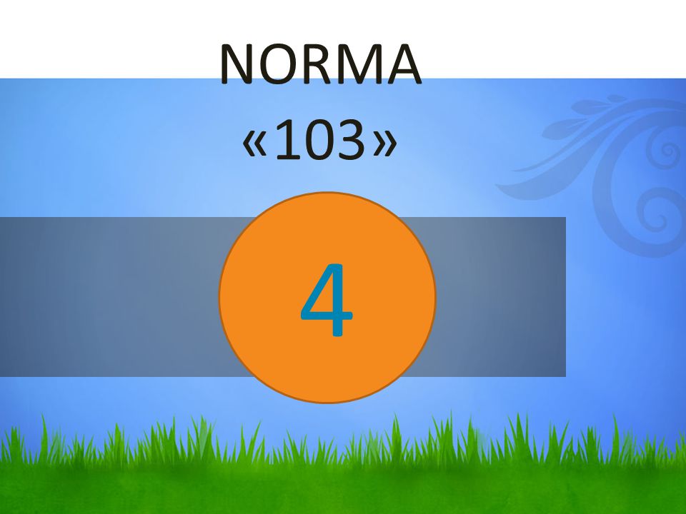 NORMA «103» 4