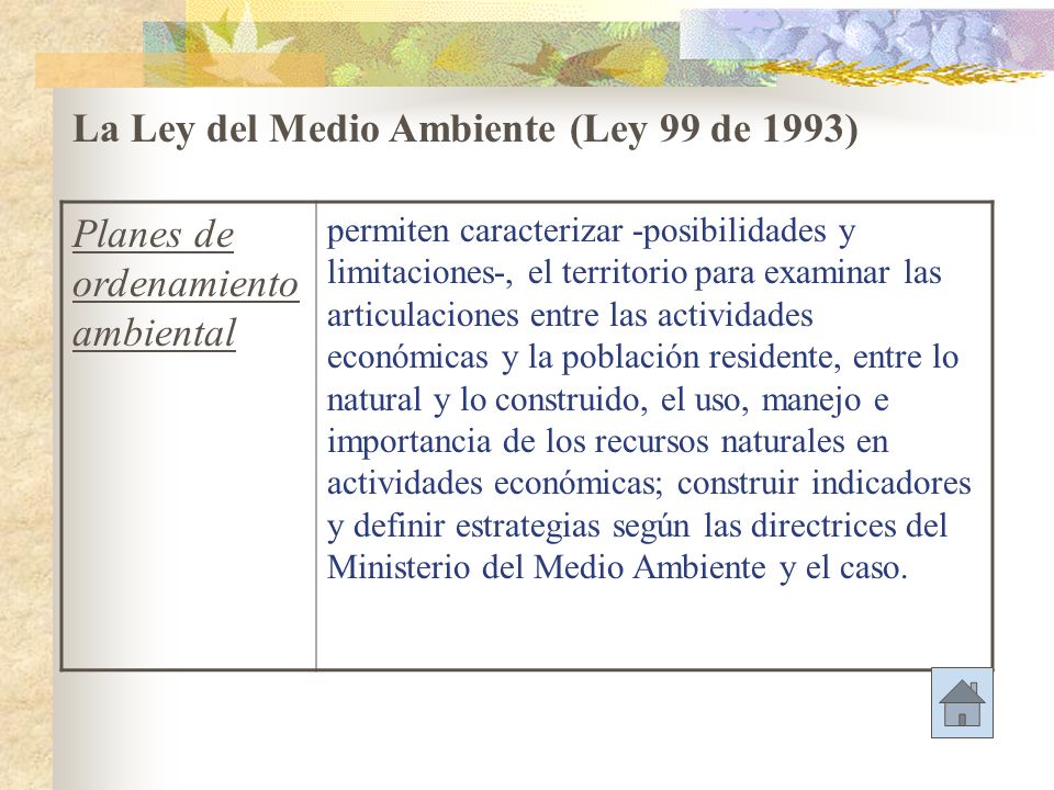 La Ley del Medio Ambiente (Ley 99 de 1993)